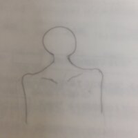 肩幅40センチってごついですか 男性にしては狭い 平均は45 46 Yahoo 知恵袋