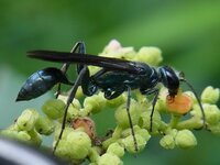 バズの 無限の彼方へ さあいくぞ は Toinfinityandbeyon Yahoo 知恵袋