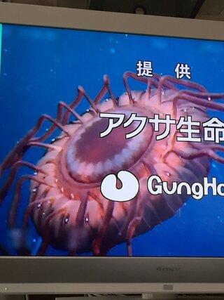 この生き物はなんと言う名前ですか 日本の深海に生息するムラサキ Yahoo 知恵袋