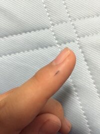 制限 道路 空 シャープ ペンシル 芯 指 に 刺さる Vinotheque Jp