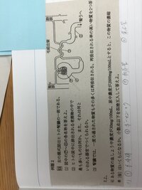 かっこいい漢字を教えてください 一文字で生き物 一文字で生き物を表す漢字 Yahoo 知恵袋