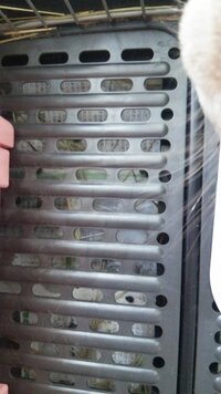 うさぎがスノコをかじっているだけでなく食べている気がします Yahoo 知恵袋