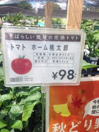 今はホームセンターに野菜の苗がほとんど置いてないのですが カインズホ Yahoo 知恵袋