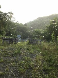 札幌 ペット霊園 荒れ果てた