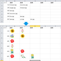 エクセルセルに書かれた画像ファイル名から 画像を呼び出して貼り付ける方法 Ex Yahoo 知恵袋