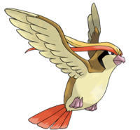 鳥ポケモンで背中に乗れるポケモンは ピジョットヨルノズクオオスバメ Yahoo 知恵袋
