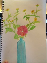 最近趣味で水彩色鉛筆画を書いています どうしても植物の絵がうまく書け Yahoo 知恵袋