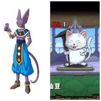 ドラゴンボール超 破壊神ビルスは猫の神 カリン塔のカリンも猫の神 同じ部 Yahoo 知恵袋