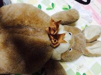 ぬいぐるみに呪われるって事ありますか 結構放置してあるぬいぐるみ Yahoo 知恵袋