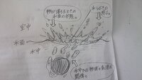 絵の描き方についての質問です 物が水中に勢いよく入る場面を描きたいのですが 上 Yahoo 知恵袋