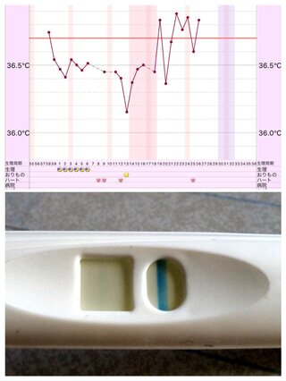 これは陽性反応ですか 画像あり 二人目希望していて 現在生理予定日5日前で Yahoo 知恵袋