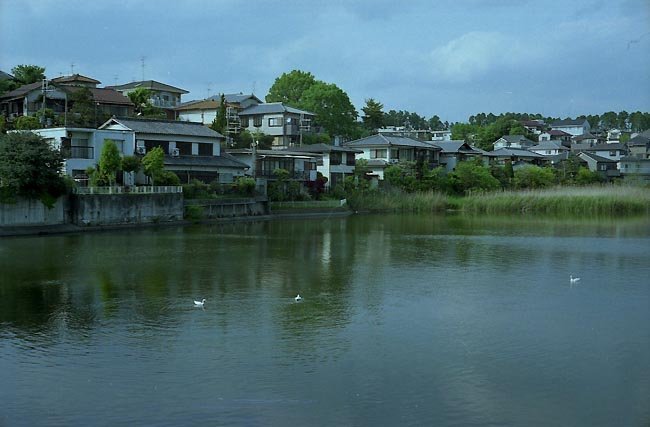 ベランダ・窓のすぐ下が池や川がある家に住む人は何故？ - 教えて 