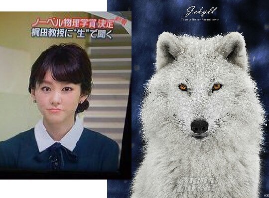 読書家の皆さんにうかがいます読書カテゴリランキングおかしくないですか Yahoo 知恵袋