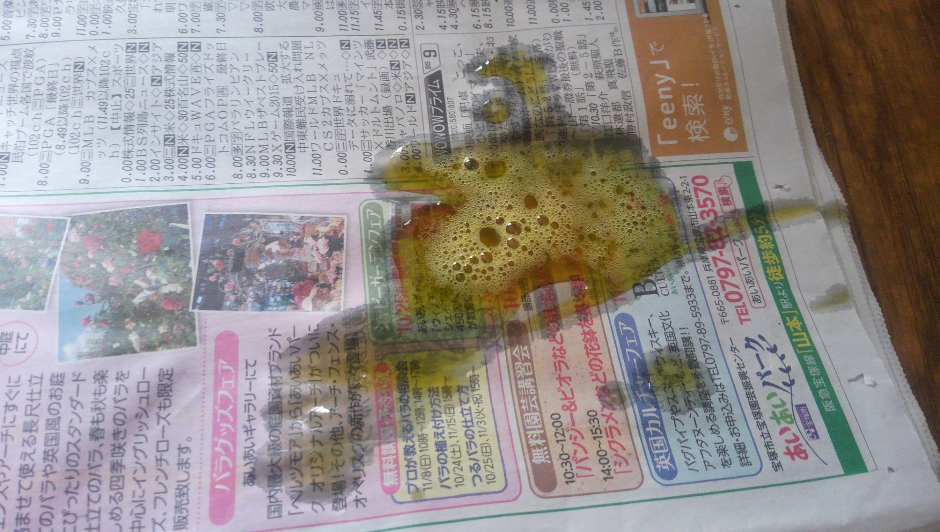 飼っている猫(♂)が、今朝から黄色い嘔吐物を吐いています(写真参照 