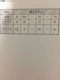 アメリカの子供靴のサイズ表記について教えて下さい。22センチと19