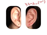 ボディピアスのバランス 初めてピアスを開けようと 色々構想を練っているの Yahoo 知恵袋