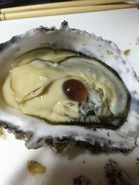 牡蠣のシーズンがきますが質問します殻付き牡蠣 生食ok をホットプ Yahoo 知恵袋