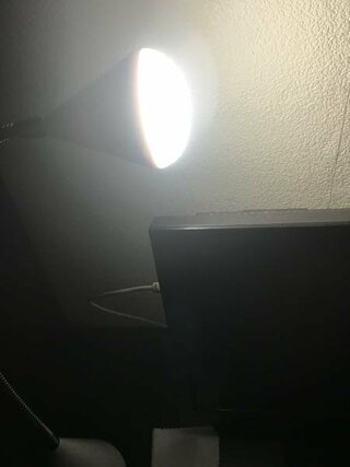 照明器具が明るすぎて眩しい 寝室に置くために買ったライトが眩しすぎて困っ Yahoo 知恵袋