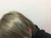 金髪にアッシュを入れようとしたら緑がかった粘土みたいな色になってしま Yahoo 知恵袋
