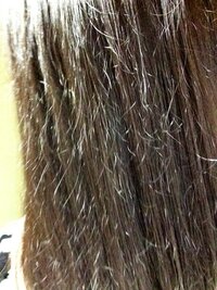 髪が生まれつき チリチリです ヘアカラーもパーマもしたことありません なぜだ Yahoo 知恵袋