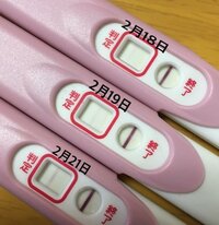 Pチェック 妊娠検査薬について 2月16日だと思っていた生理予 Yahoo 知恵袋
