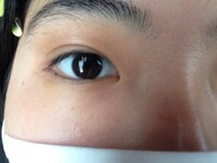 画像あり 目頭が下に切れ込んでいる 画像を見ていただければわかると思 Yahoo 知恵袋