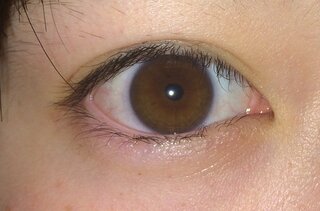 目の色眩しい最近 目の色がどんどん茶色になってきている気がします 小さいころは Yahoo 知恵袋
