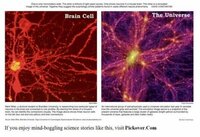 銀河の大規模構造と脳細胞の形が似てるらしいですが、これは何かしらの「意味が」あるんですかね？ 