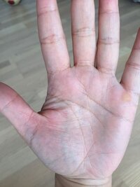 手相のわかる方お願いいたします 結婚もして子供もおります 私の Yahoo 知恵袋