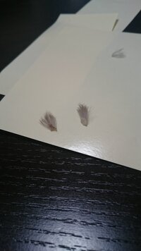 先程カスベの煮付けを食べたら口の周りと手の甲が痒くなりました これはアレ Yahoo 知恵袋