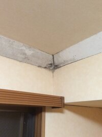 地下室のカビ普段自室として利用している部屋がかなり汚れており この度大掃除をして 教えて 住まいの先生 Yahoo 不動産