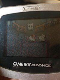 Visualboyadvance をゲームコントローラーで Yahoo 知恵袋