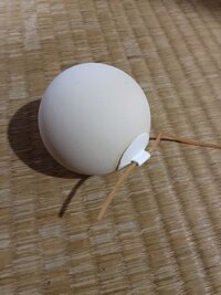 川 慣習 種 ソフトテニス 紐付き ボール 使い方 擬人 積分 電話