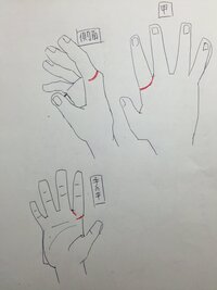 手相について教えてください わかりにくいかもしれませんが イラストの赤い線の様 Yahoo 知恵袋