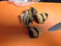 巻き貝 種類を教えて下さい 海外在住 スーパーで買いました Snai Yahoo 知恵袋