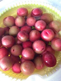 梅の実と思いとってきて梅酒にしようと思ってます しかし 自分で調べた Yahoo 知恵袋