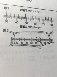 生物基礎のミクロメーターの計算がわかりません 対物ミクロメータ Yahoo 知恵袋