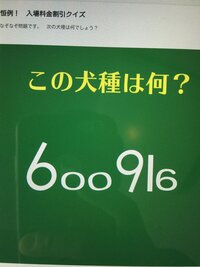 わんわん動物園のクイズですがこのなぞなぞのこたえを教えてください Yahoo 知恵袋