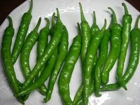 ししとうが大きくなりません 家庭菜園初心者です ししとう 伏見甘長 を Yahoo 知恵袋