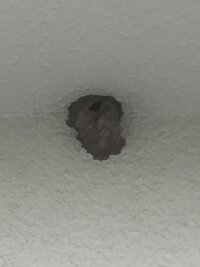 小さい蜂の巣ではないかと思われます 蜂の出入りは全くありません 作りかけ Yahoo 知恵袋