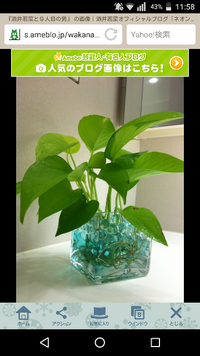 この青いゼリーみたいなのはなんていうんですか どこで売ってますか この Yahoo 知恵袋