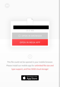 無料cloudのmegaを利用としたところ Zipファイルをダウンロードしようとしたら Yahoo 知恵袋