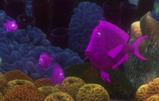 ファインディングニモのキャラクターなのですが 画像の紫色の魚は何とい Yahoo 知恵袋