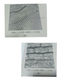 生物の課題です イシクラゲ ムラサキツユクサの葉緑体 オオカナダモの Yahoo 知恵袋