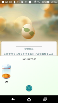 ポケモンgoのたまごが ふかそうちに入りません ネットで検索しても Yahoo 知恵袋