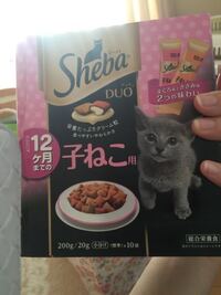 韓国語から日本語へ直していただきたいです 완전체촬영끝나자마자애들우르르지 Yahoo 知恵袋