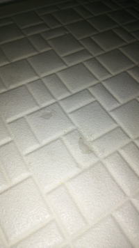 ユニットバス床えの化粧塗装が剥がれてしまいました 自分で補修する事は可能でしょ 教えて 住まいの先生 Yahoo 不動産