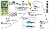 琵琶湖大橋付近で夢の80センチ１５キロのバスが釣れたらしいですが Yahoo 知恵袋