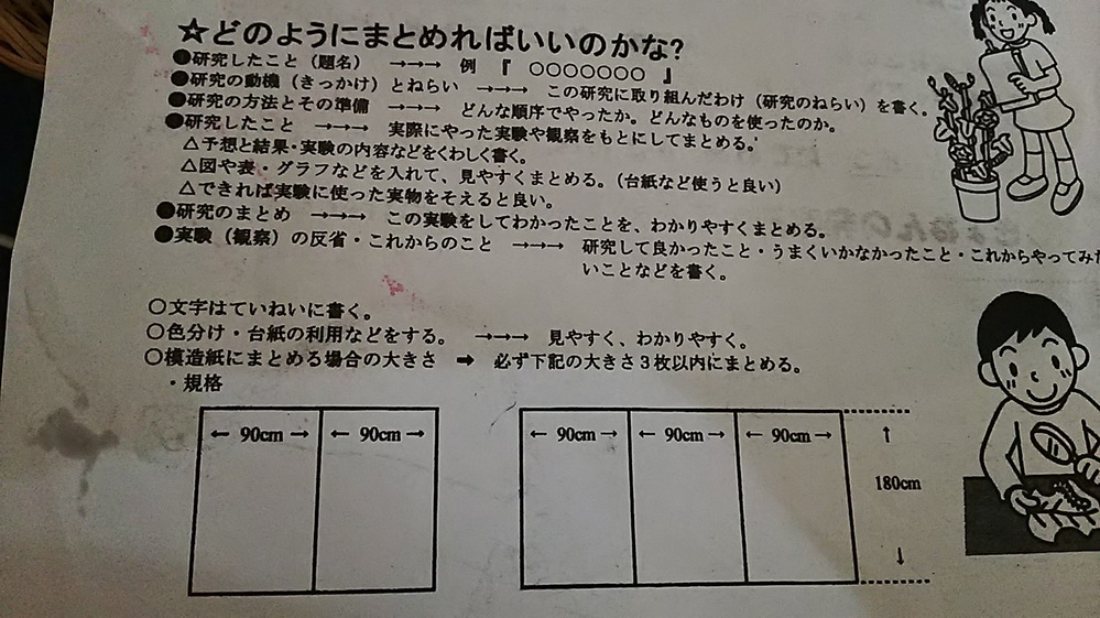 マルアイ マス目模造紙 模造紙 紙 自由研究 B紙 プル（２０枚入り