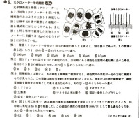 ボカロで低い曲を教えてください 私 女なのですが 地声が低くてボカロ Yahoo 知恵袋